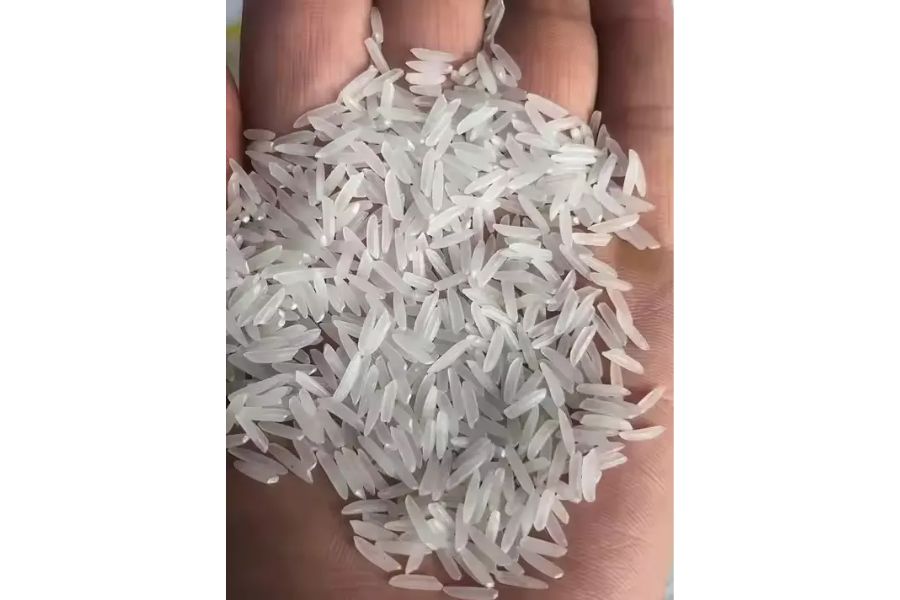 What Is Vietnamese Shrimp Rice? Why Is It Popular All Over the World?