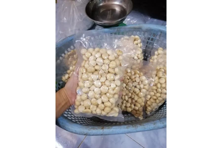 Nhân Macca (Mắc Ca) Sấy? Được Chế Biến Thành Các Món Ăn Nào?