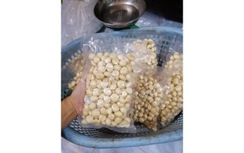 Nhân Macca (Mắc Ca) Sấy? Được Chế Biến Thành Các Món Ăn Nào?