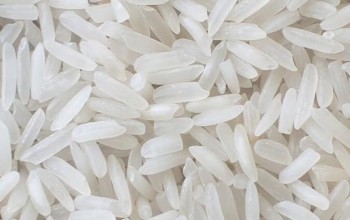 Gạo trắng là gì? Lưu ý quan trọng khi sử dụng